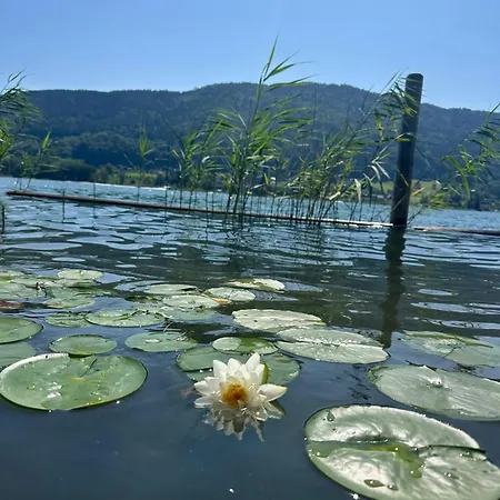 Seebungalow Am Ossiacher